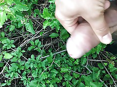 CUMMING At hand Assemble articulation Native land - BULGARIAN